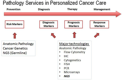 Graphic: Pathology Services in Personalized Cancer Care