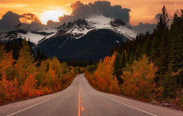 Road leading to the Canadian Rockies